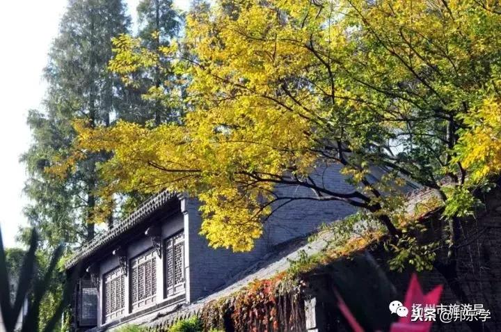 扬州市公园人气榜第一名,扬州入选全球十大宜居城市