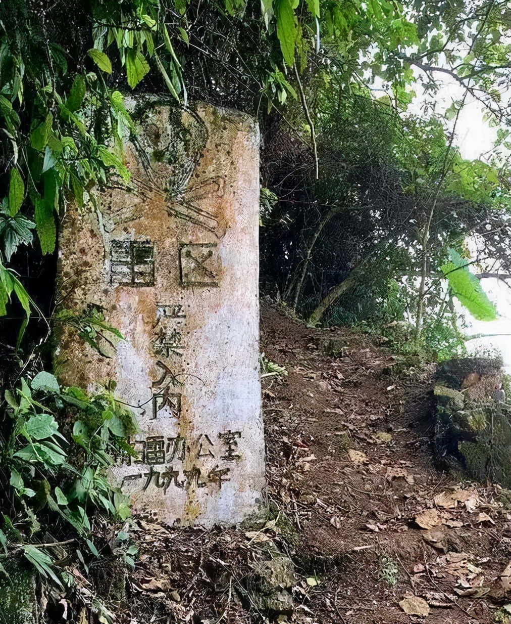 2019年八一勋章杜富国,杜富国颁发奖章全过程