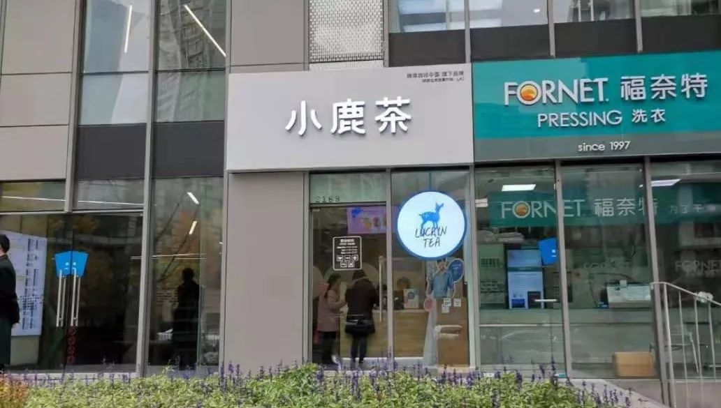 瑞幸咖啡旗下小鹿茶前景如何,瑞幸咖啡小鹿茶哪款好喝