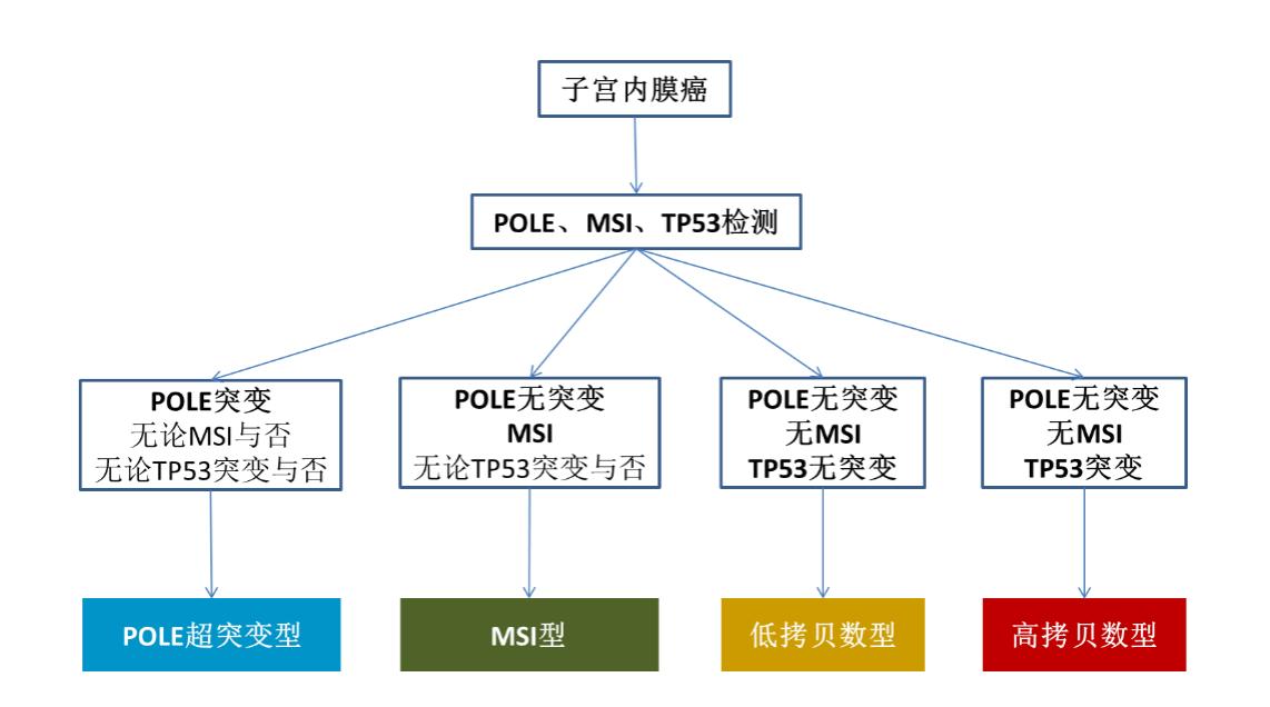 子宫内膜癌危险吗？分子分型断吉凶