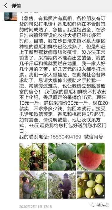 新时代文明实践志愿者并肩战疫,抗击疫情志愿者先锋队