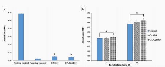 醋酸纤维医用抗粘敷料,纳米纤维伤口敷料