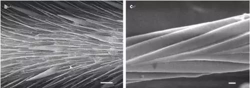 轻功水上漂踩水盆,轻功水上漂出处