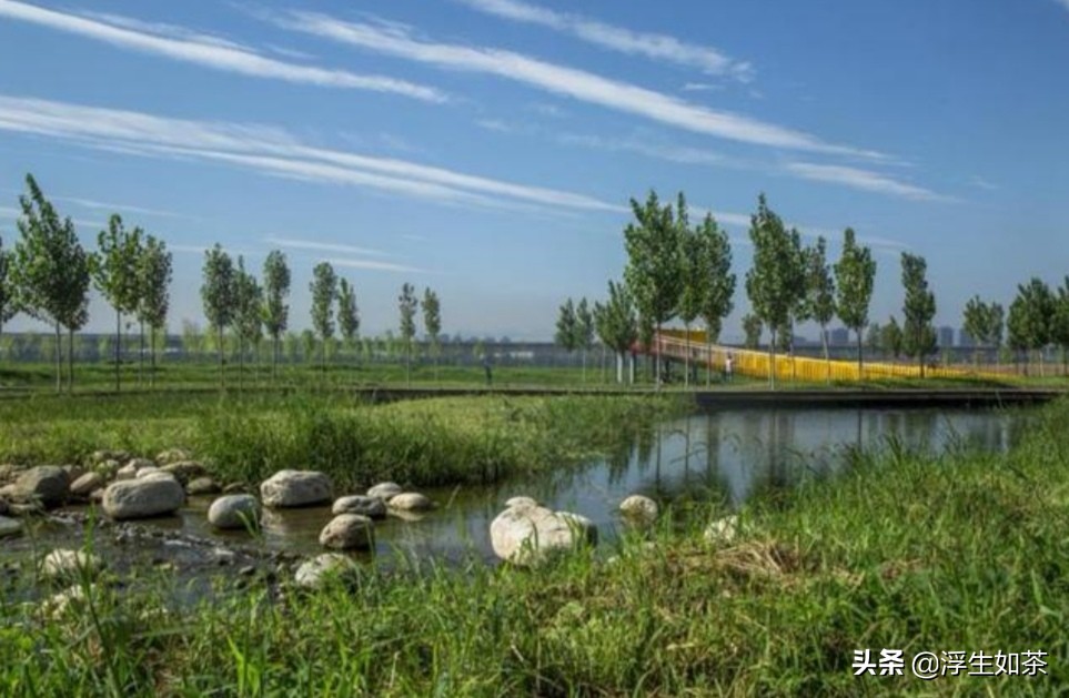 咸阳市渭柳湿地公园,咸阳渭城区渭柳湿地公园建设