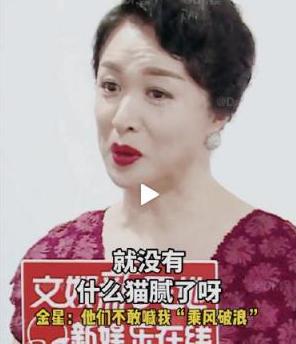 毒舌金星的人生经历,毒舌金星深度解读