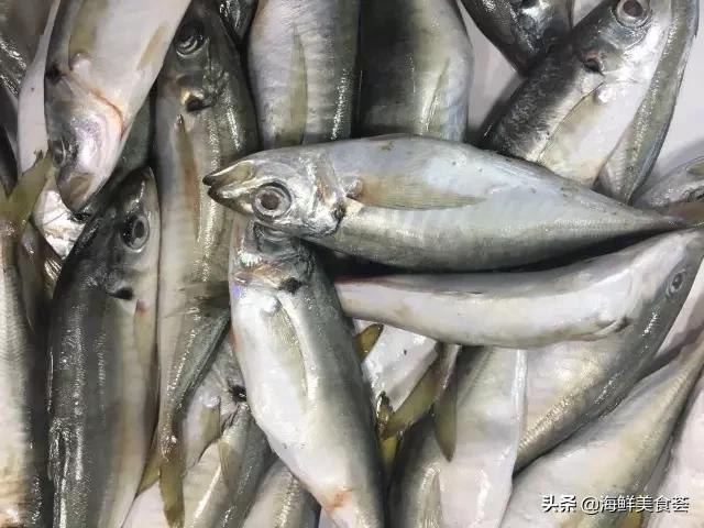 常见的鱼虾蟹等海鲜的认识,虾蟹类海鲜大全