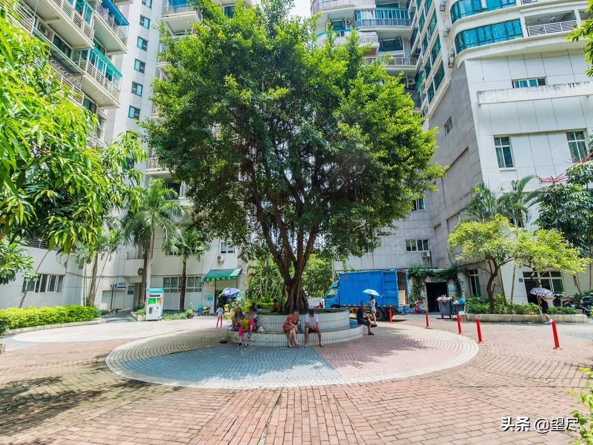 深圳宝安法拍房出售最新信息,深圳罗湖最近法拍房