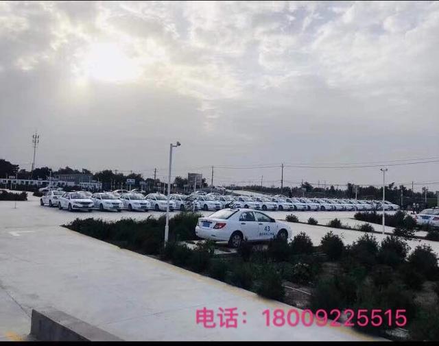 你知道驾照是怎么考出来的吗？田萍为你指点几招一次过！