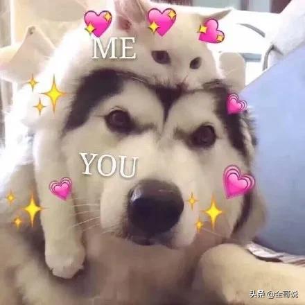 为什么男生kiss不闭眼,为什么男生kiss不闭眼就是渣男