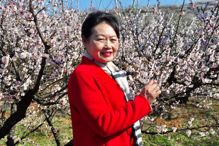 傅家边野营,走进金溪傅家村