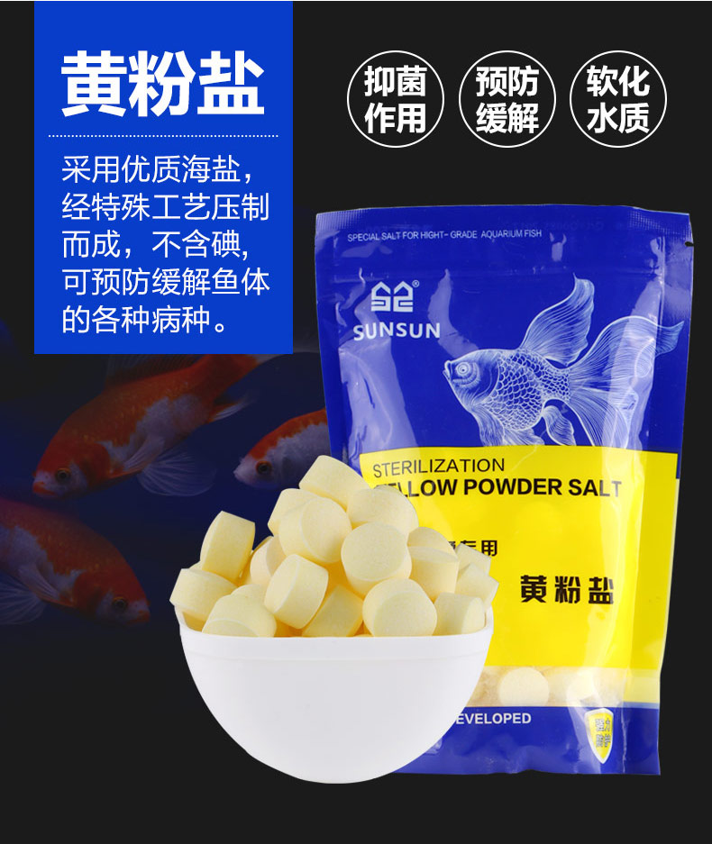 观赏鱼烂肉怎么办？不要担心，用这个方法一次搞定