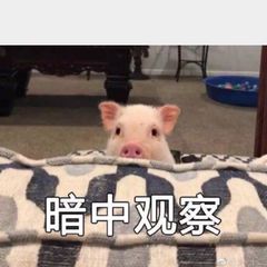 微信上可以登录qq邮箱吗,微信可以登录qq了