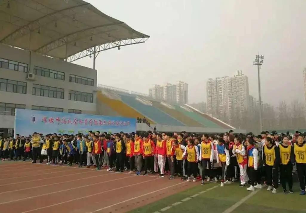 专业解读|体育教育、运动康复、运动训练、武术与民族传统体育