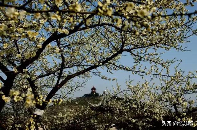 有了这个理由,你一定会爱上苏州西山