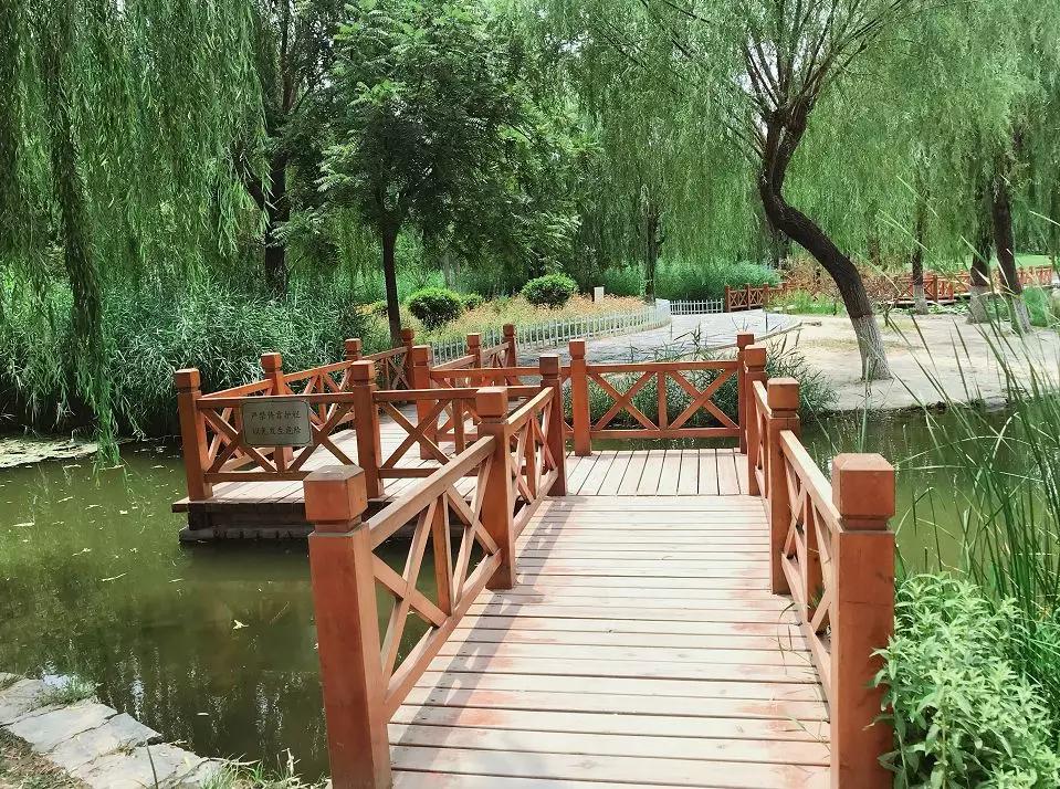 河北科技大学最牛考研,河北科技大学很牛吗