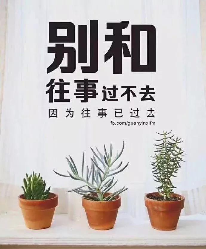 早安微笑是一种生活态度,微笑是一束光的早安语