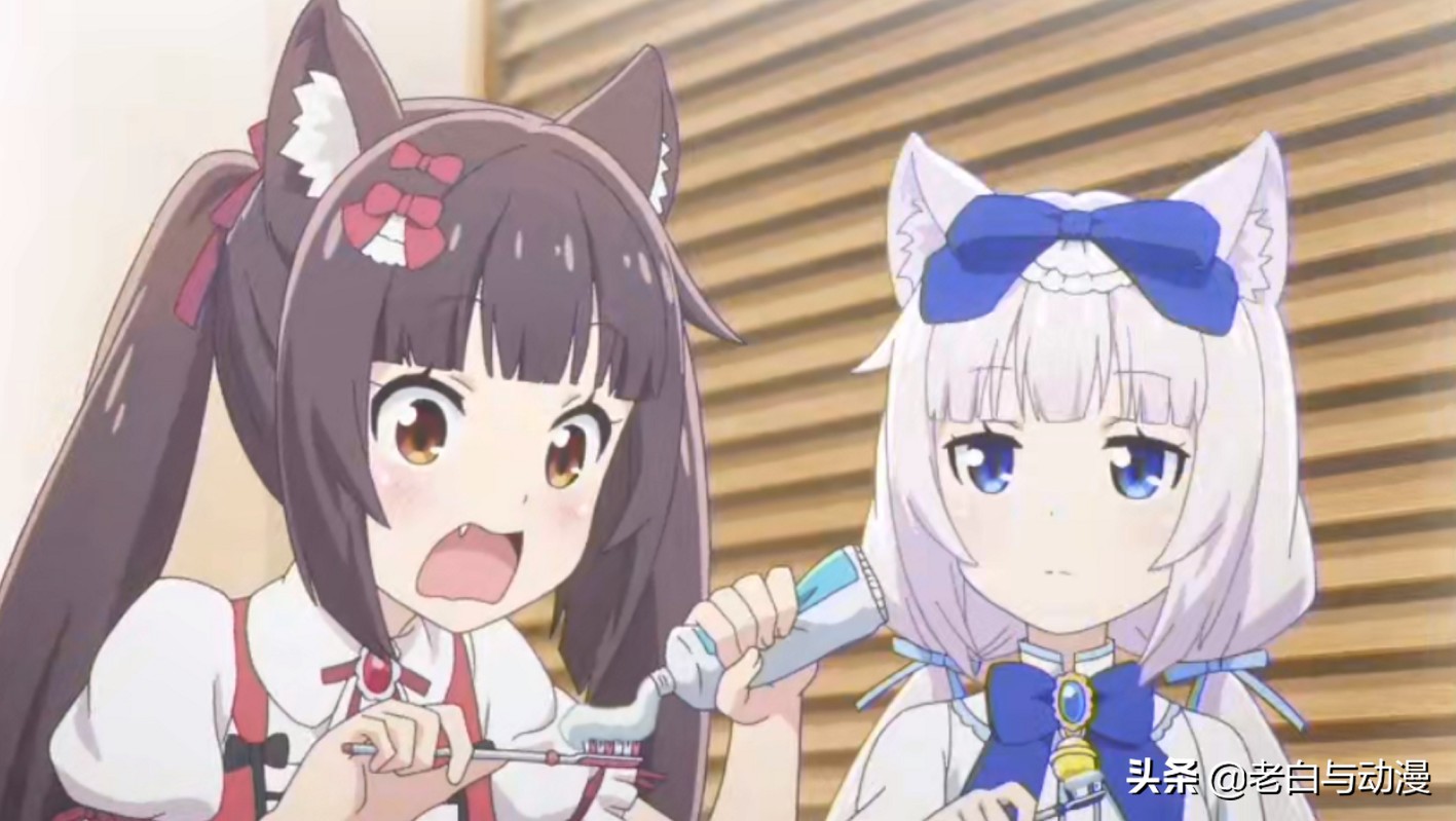 这才是猫奴必看动漫,动漫猫娘超可爱