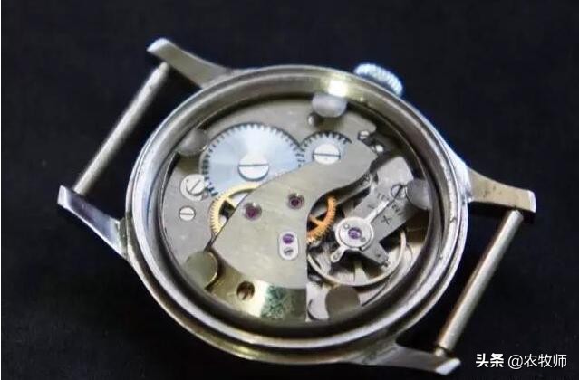 国产手表的机芯哪种最好,国产手表机芯最好是哪一个