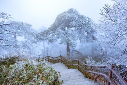冬天旅游必去十大景点推荐图片,国内风景超绝的地方