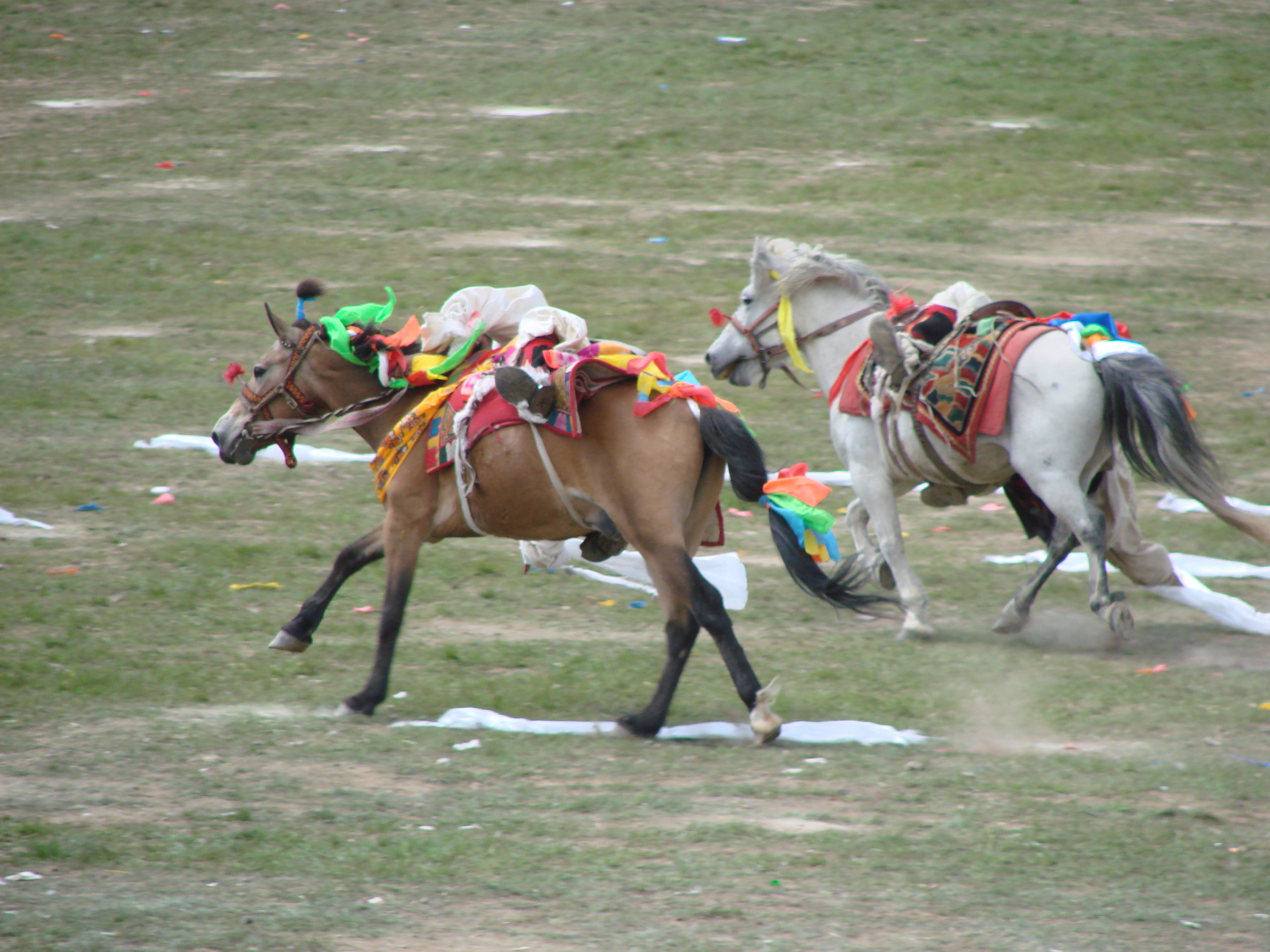 简要的唠叨一下*藏西**6市1地区，打开你对*藏西**的认知大门