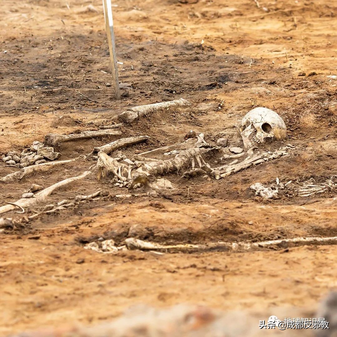 带你揭秘印度人骨*市黑**：骨头明码标价，祖宗们的尸身变成摇钱树