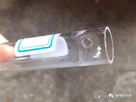 猫的人工授精V2.0|技术改进，增加实操反馈