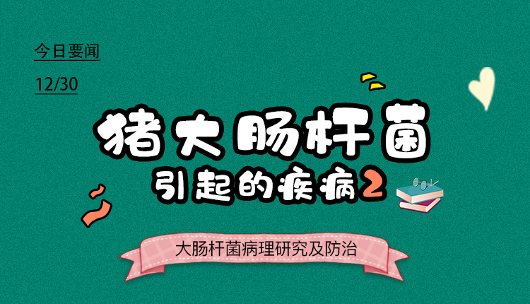 大肠杆菌病机理,大肠杆菌所致疾病
