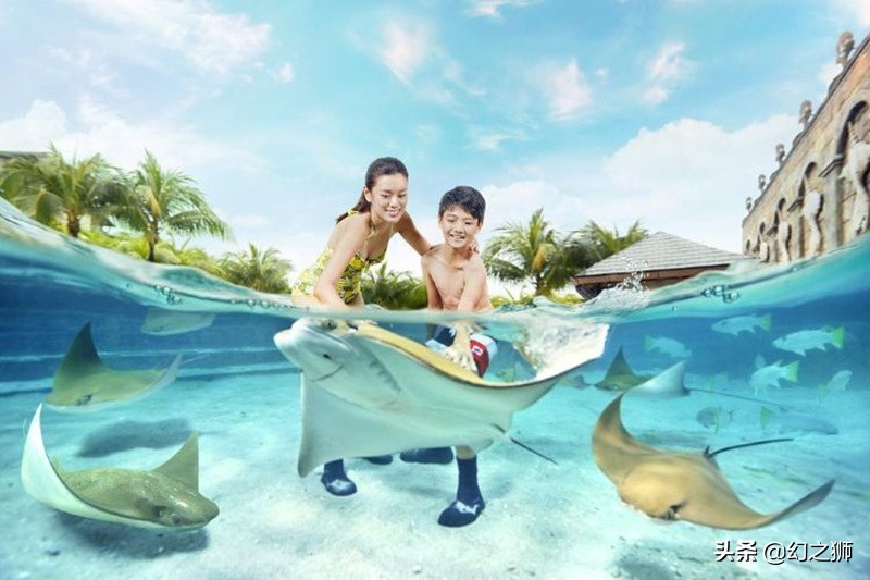 魟鱼的几个危险动作,魟鱼老是受惊吓