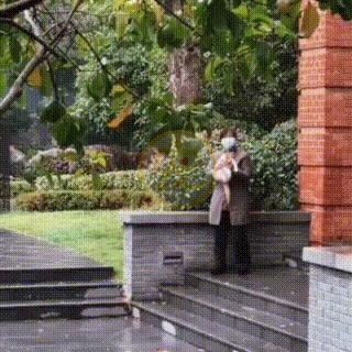 同伴被困空房子,流浪猫向人类求助,获救后它竟主动让出食物