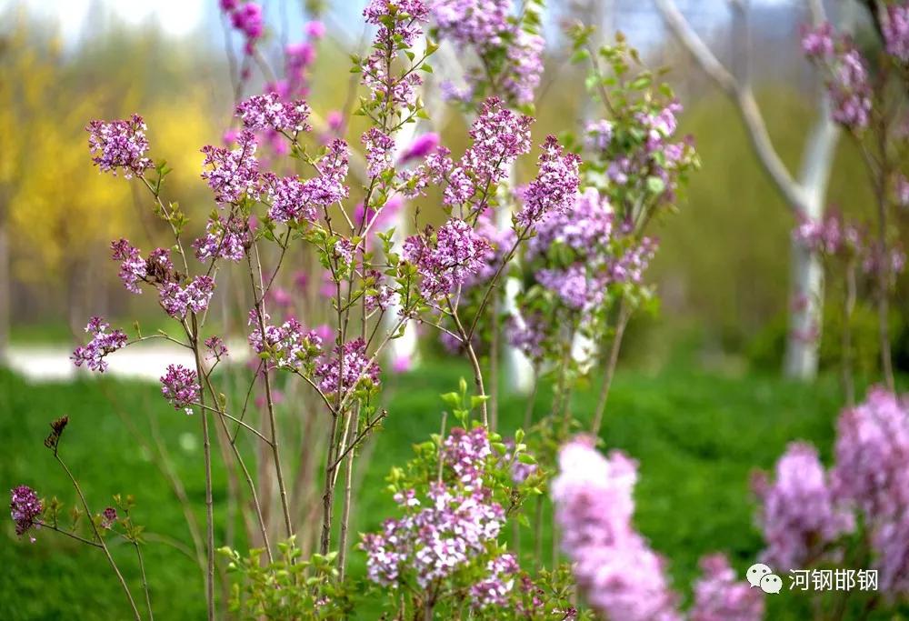 娌抽挗閭挗閾佽矾,娌抽挗閭挗楂樼倝