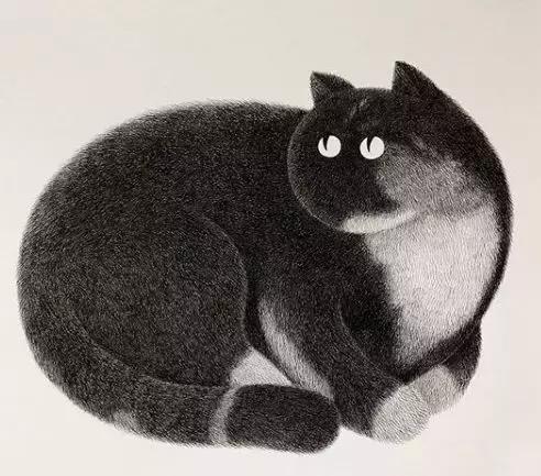 她用2元针管笔作画便惊艳了世界,他用粉笔画了一只猫