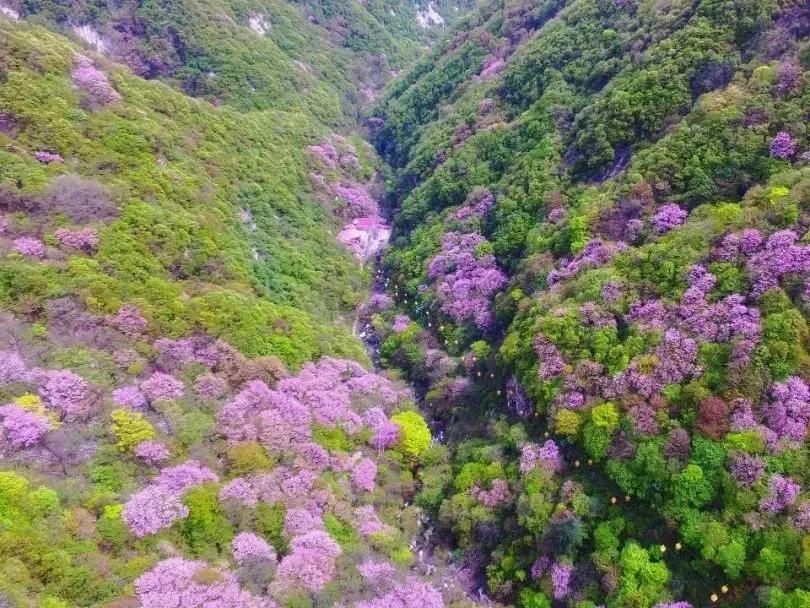 西安小众旅游,西安周边旅游3-4天攻略最佳线路