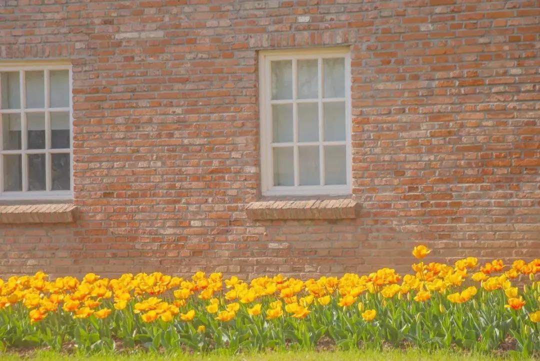 不出国就能环游世界的地方,不用出国门也能环游世界