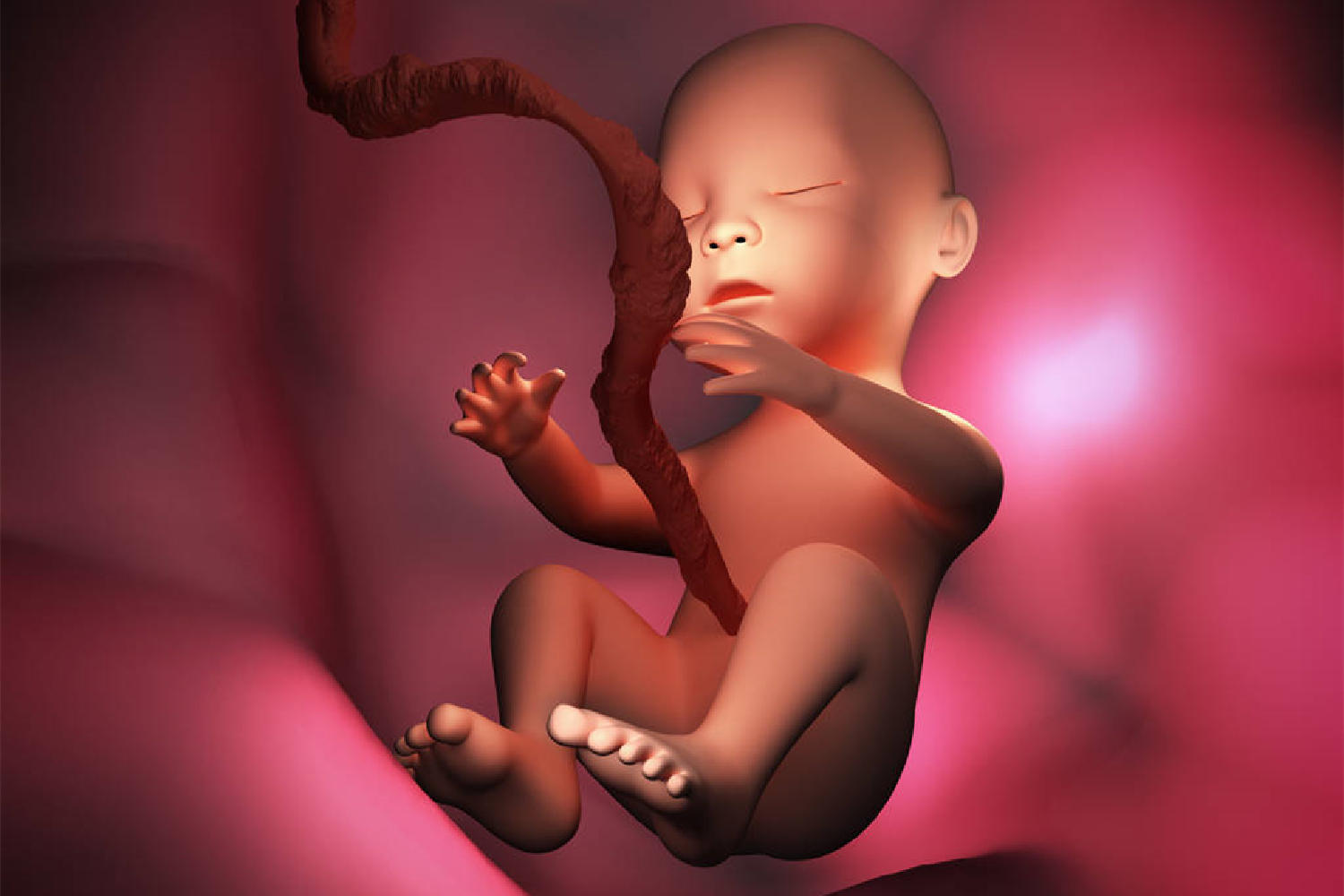 十大怀孕冷知识,二胎女宝冷知识