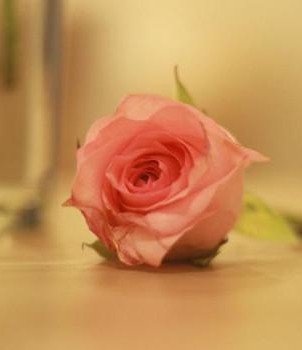 微信怎么设聊天背景,烟花聊天背景图微信