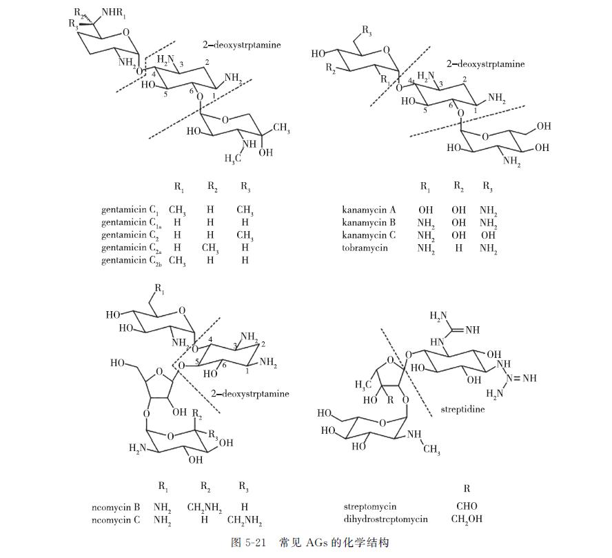 动物源性成分检测,动物源食品检测