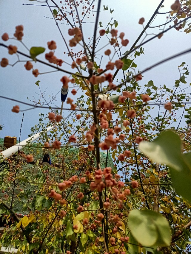 互相磨损是什么意思,相互损耗是什么意思