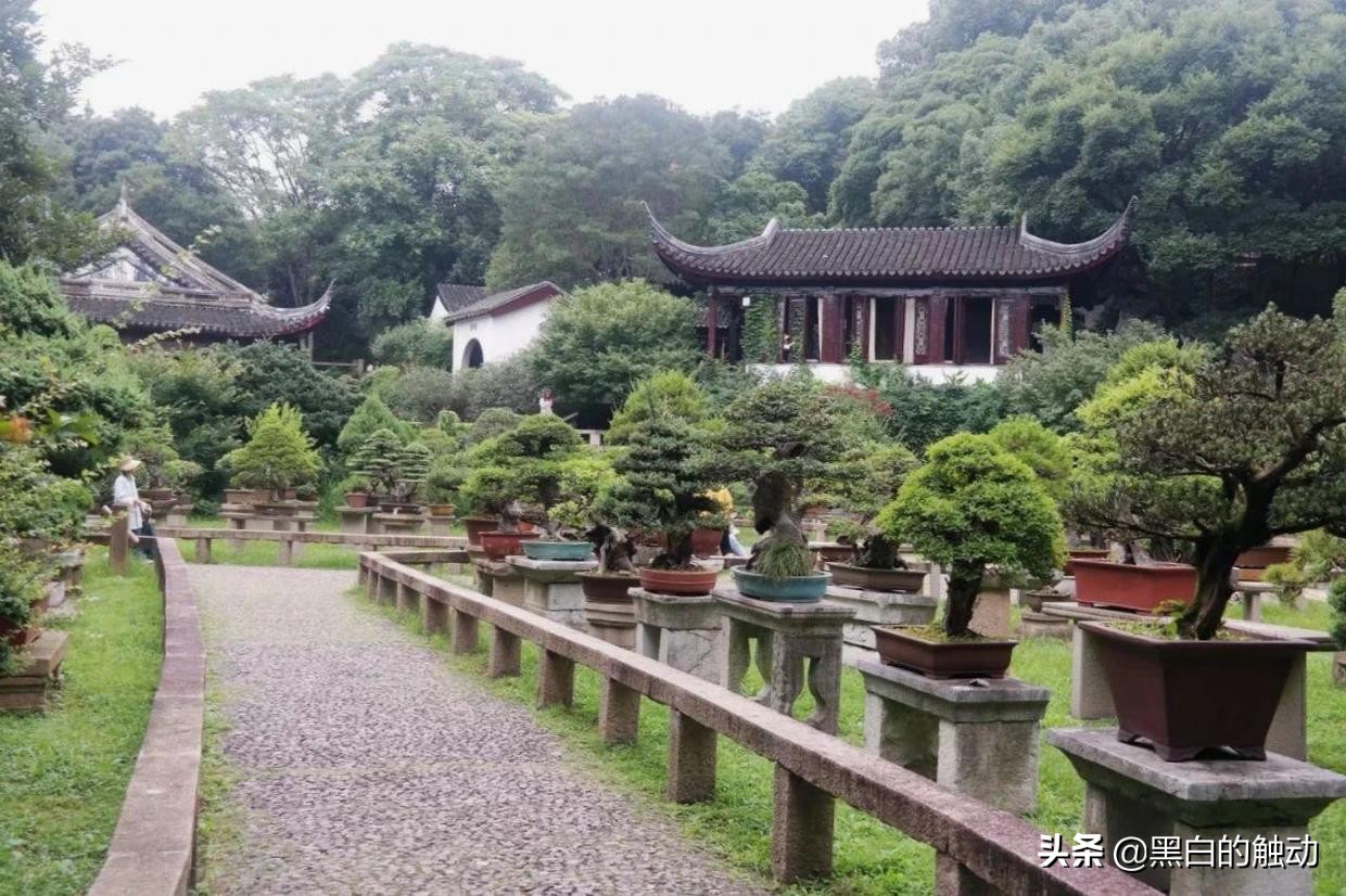 苏州除了拙政园还有哪个园林最好,苏州哪个园林最值得游玩