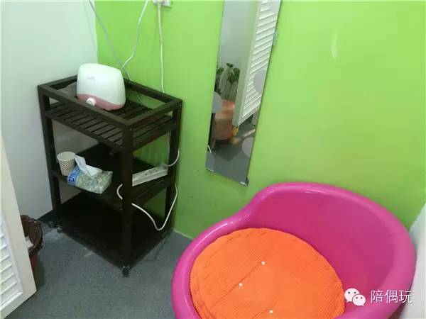 发现武汉6家尖板眼的婴幼游泳馆(内含水质测评)