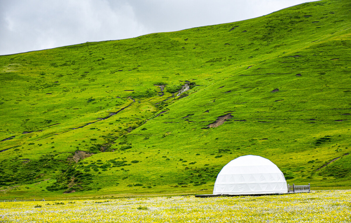 九色甘南之旅,九色甘南净土天堂深度之旅攻略
