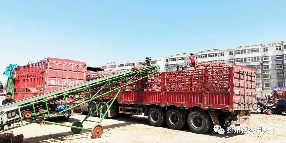 “蒜”你牛!竟治好了乾隆的痢疾症