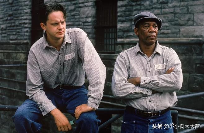 电影解说9.0以上评分治愈系励志,小学生电影励志电影排行榜前十名