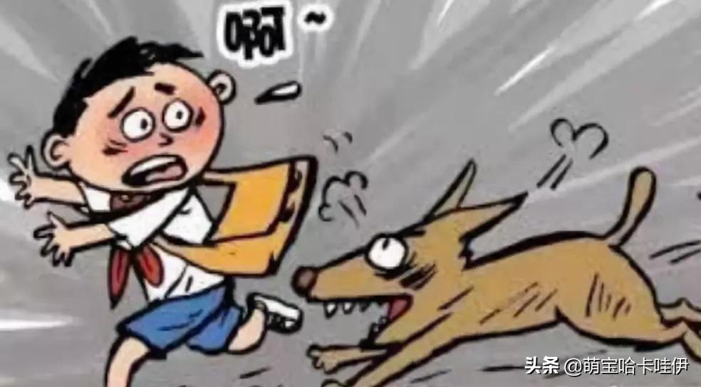 养了8年的金毛突然发狂咬人,养了8年的狗突然发狂咬主人