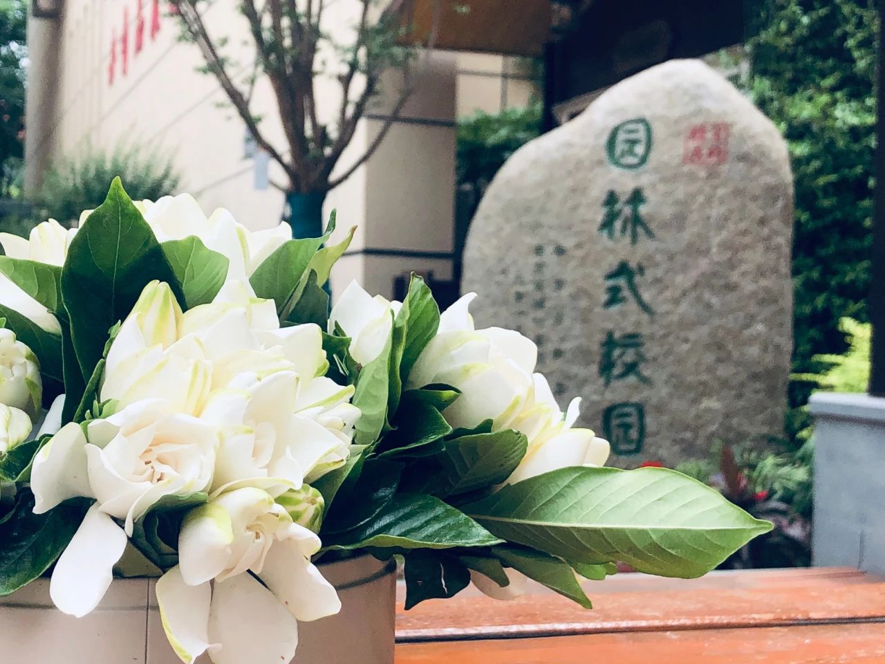 南京教育集团学校,南京初中教育集团排名