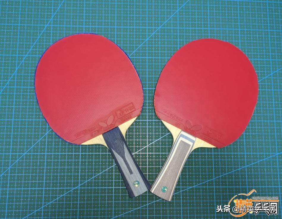 精英聊器材视频,樊振东alc和波尔alc和vis有什么区别