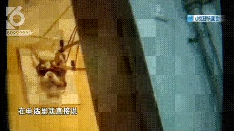 托管公司跑路房东要求重新给租金,托管跑路租客可以继续住吗