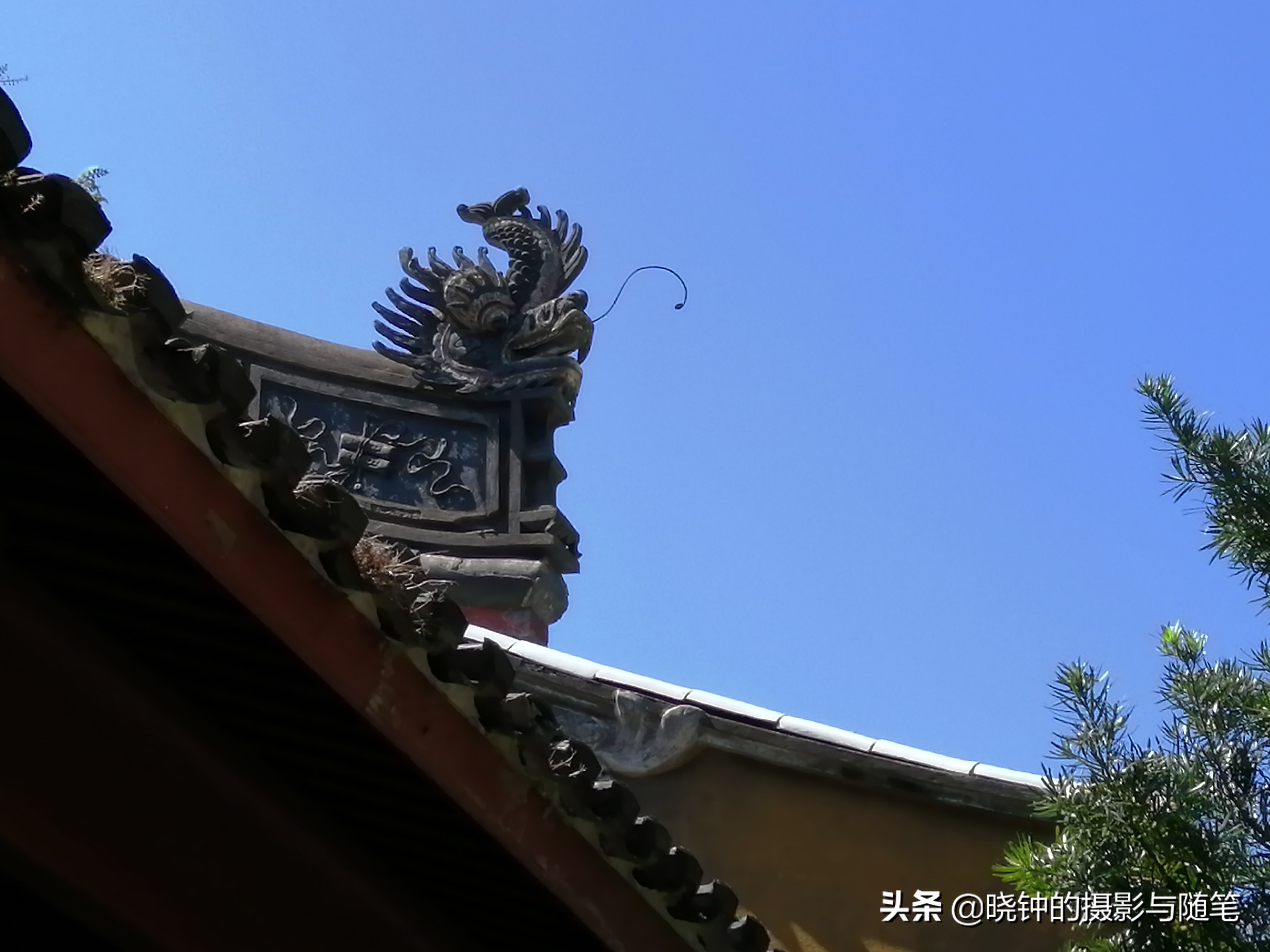 普陀山佛顶山有什么,普陀山佛顶山有必要上去吗