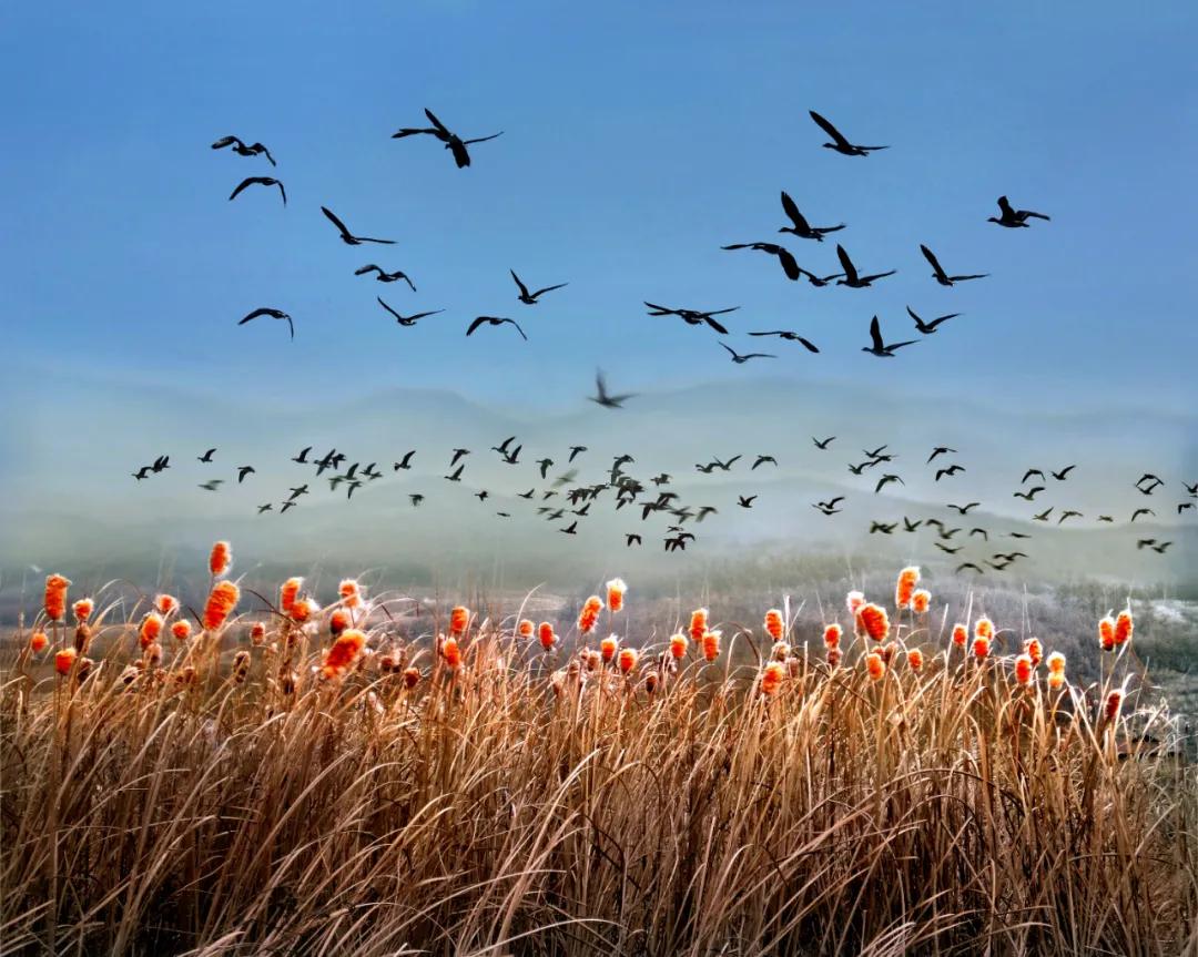 周游延边！最新清明自驾线路发布，约起来！