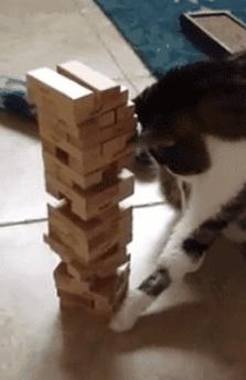 喵星人的反应能力超出常人,喵星人战斗力有多强