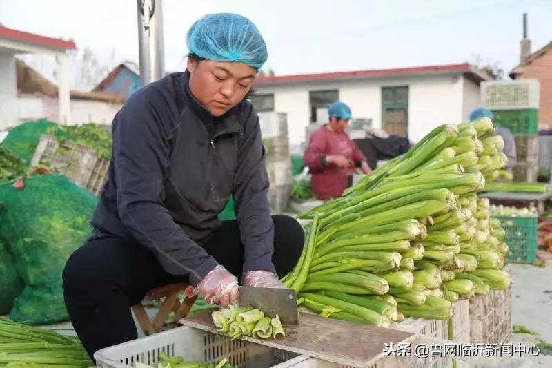 挣钱、顾家两不误!临沂临港区:居家妇女灵活就业助增收